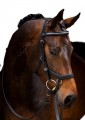 Rambo Micklem Diamonte Competition Bridle